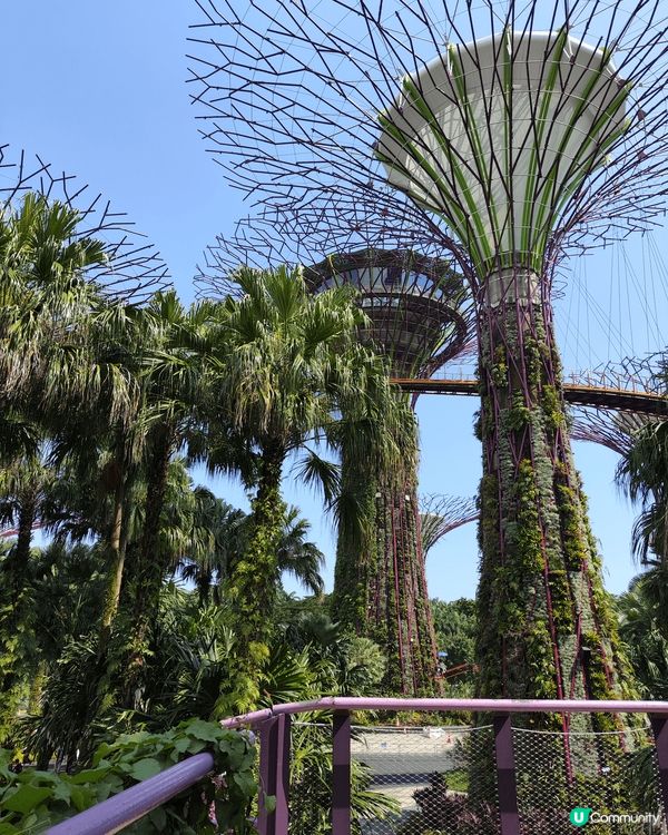 新加坡，到處都是打卡地點，怎樣影都很美！