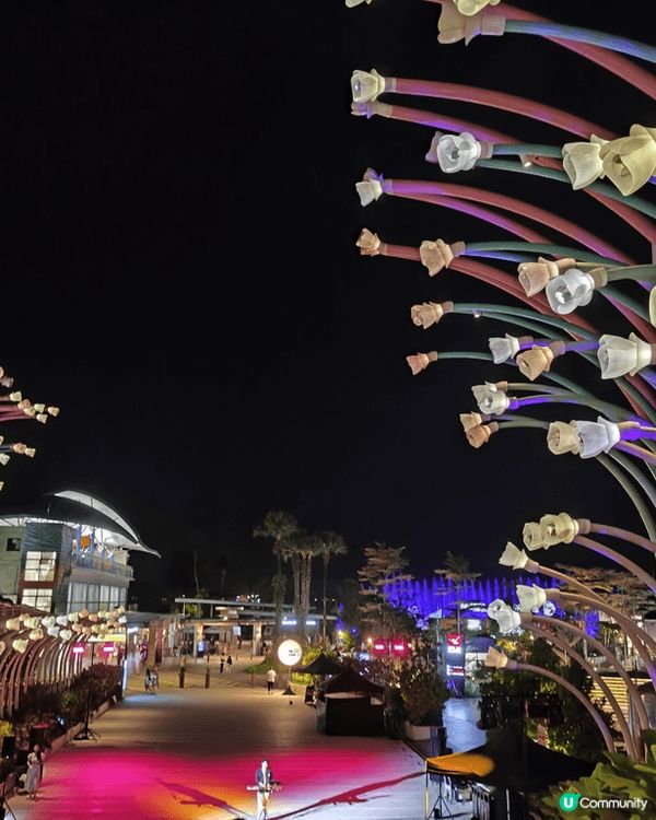 新加坡，到處都是打卡地點，怎樣影都很美！