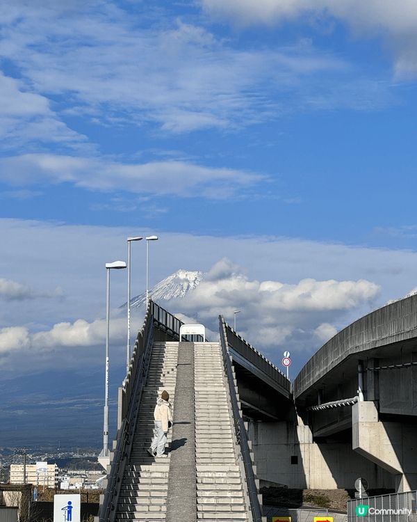 Where dreams come true. 