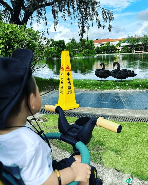 元朗錦繡花園的天鵝湖，聖誕節還會有聖誕裝修，有餐廳有遊樂場，...