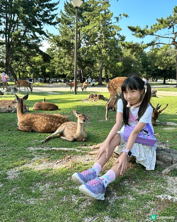 旅遊，在於你的態度，只要你能捕捉，無論是名勝，還是一道河川，...