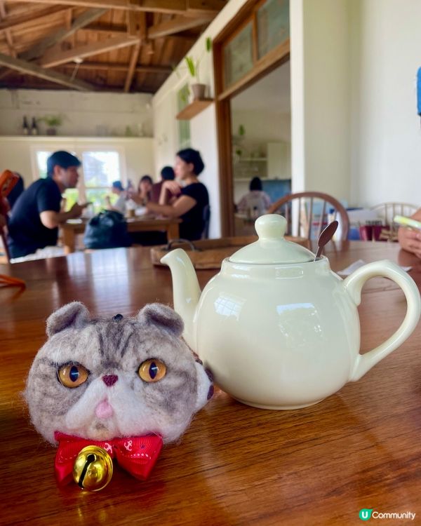 🇰🇷濟洲 西歸浦 打卡cafe推介🌟 cafe mur 