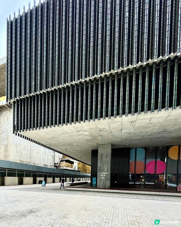 凝視與感知｜香港M+博物館