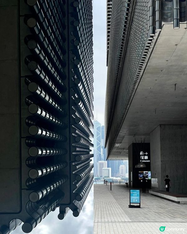 凝視與感知｜香港M+博物館