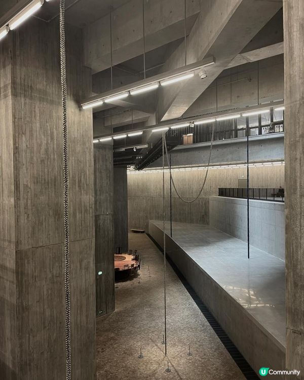 凝視與感知｜香港M+博物館