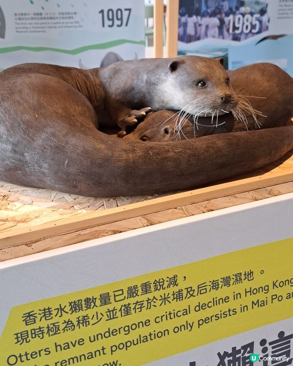 世界自然基金會之米埔保護區