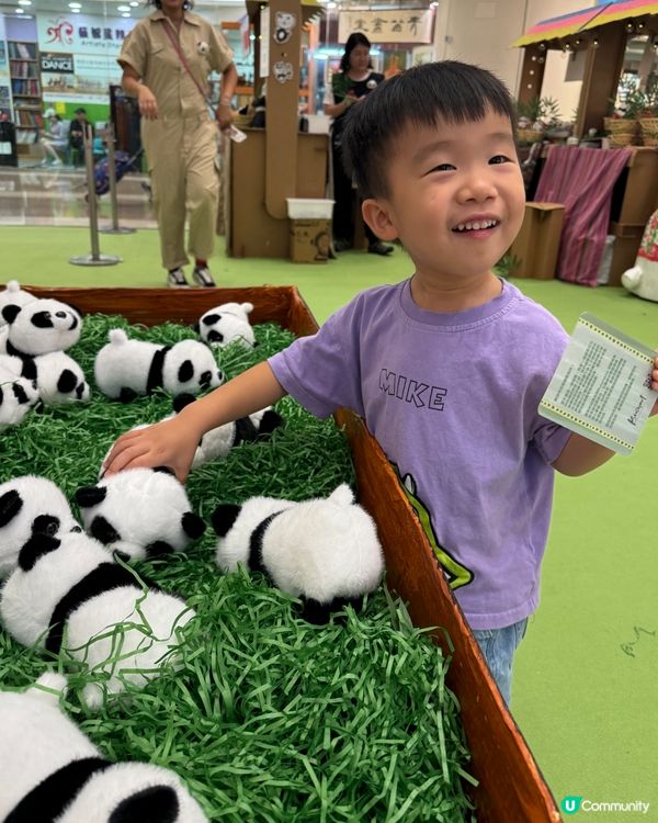 慶祝小熊貓百日誕❗️❗️