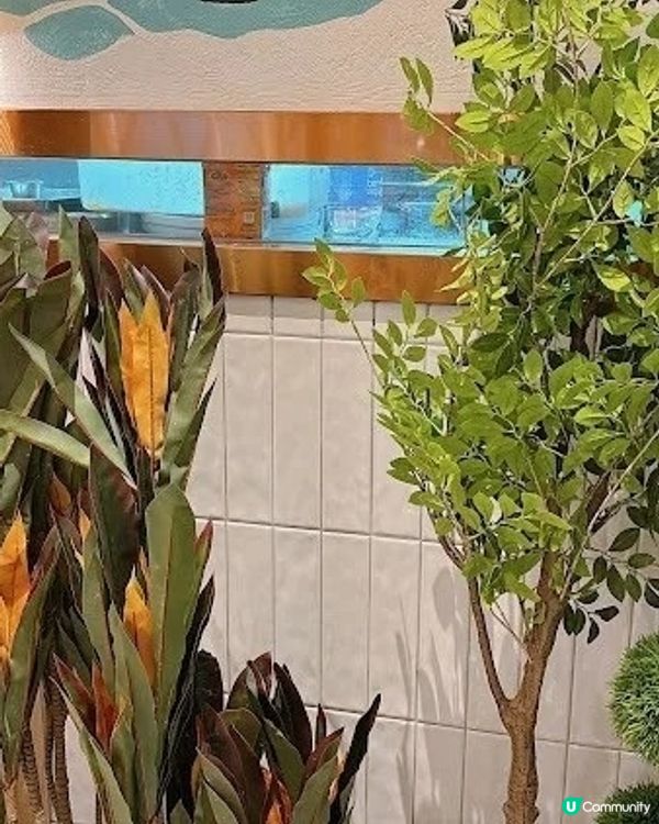 尖沙咀超正泰菜