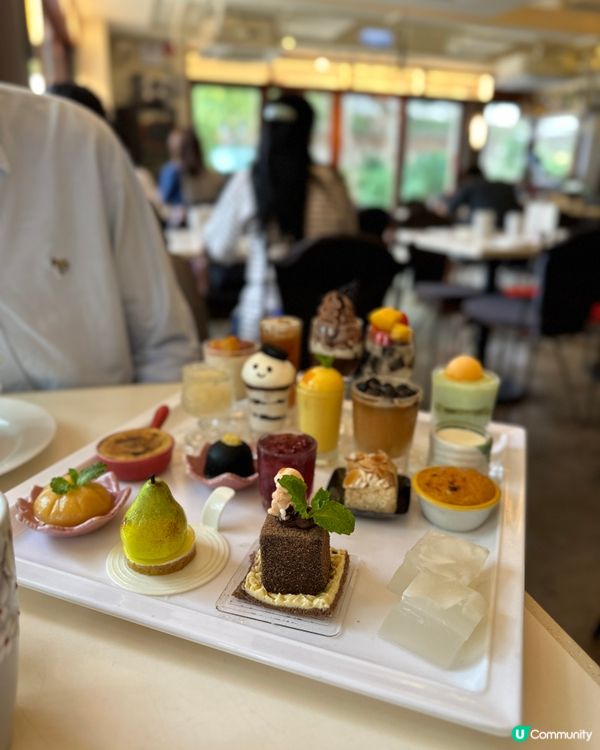 西灣河抵食午市住家菜 😋 跟餐仲有十幾款甜品俾你慢慢揀！