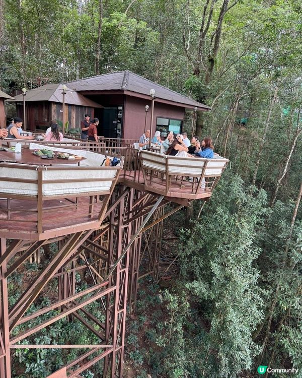 我在絕情谷底之cafe