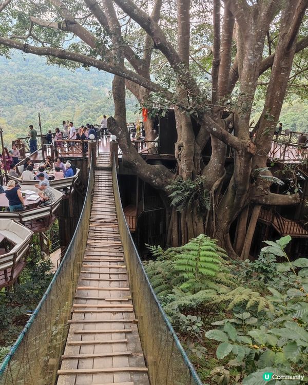 我在絕情谷底之cafe