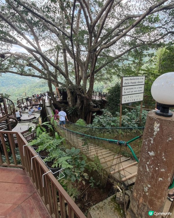 我在絕情谷底之cafe