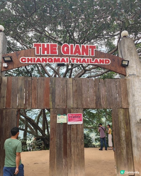 我在絕情谷底之cafe