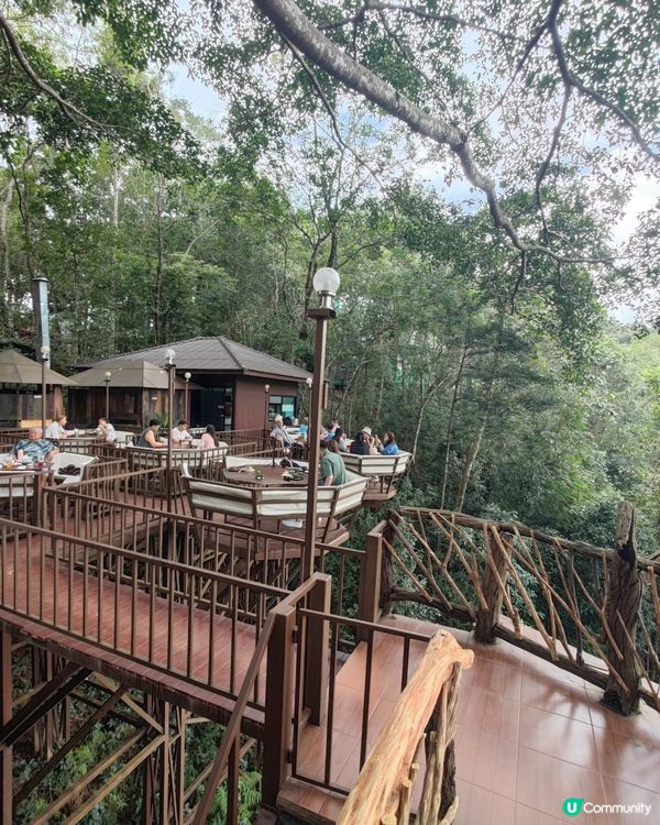 我在絕情谷底之cafe