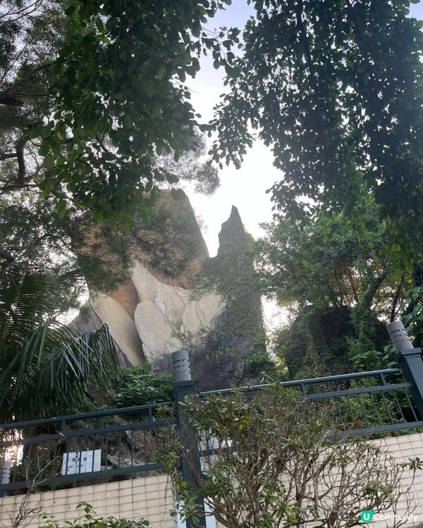 海心公園🌸🌴放鬆身心、欣賞日落之選🌊⭐️