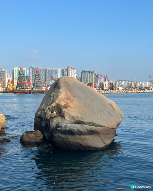 海心公園🌸🌴放鬆身心、欣賞日落之選🌊⭐️
