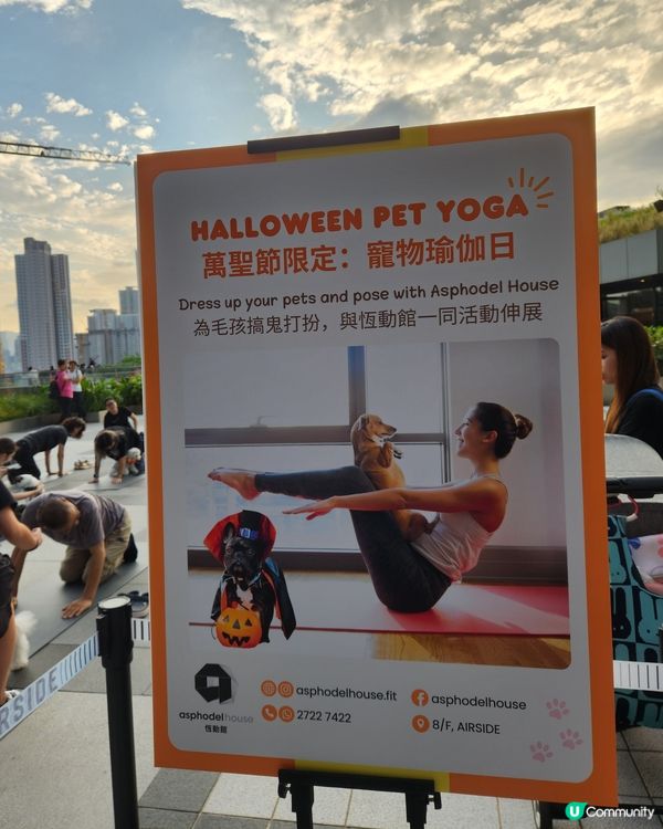 🐶狗狗瑜伽🧘‍♀️