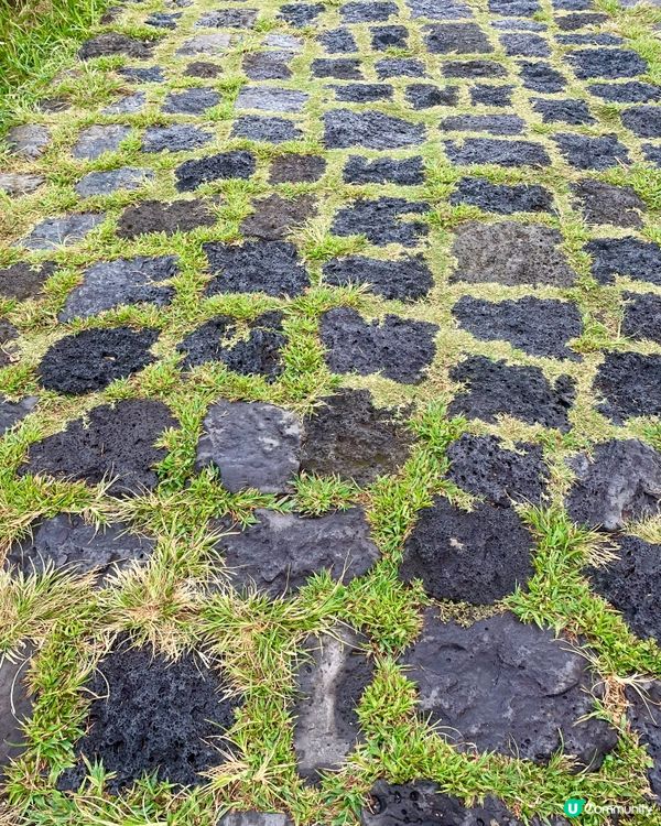 🇰🇷濟洲 城山日出峰🌄