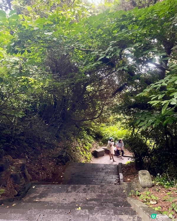 🇰🇷濟洲 城山日出峰🌄