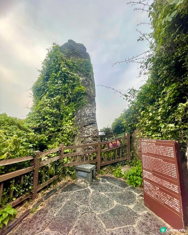 🇰🇷濟洲 城山日出峰🌄