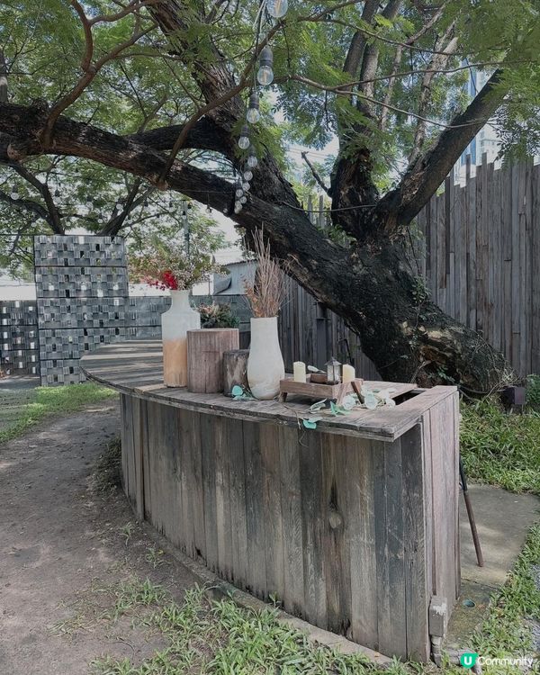 曼谷超美森林木糸打卡Cafe