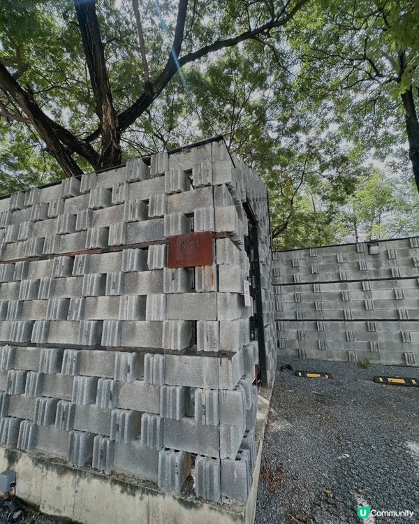 曼谷超美森林木糸打卡Cafe