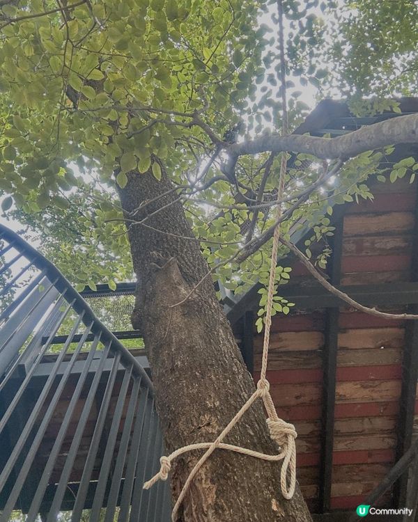 曼谷超美森林木糸打卡Cafe