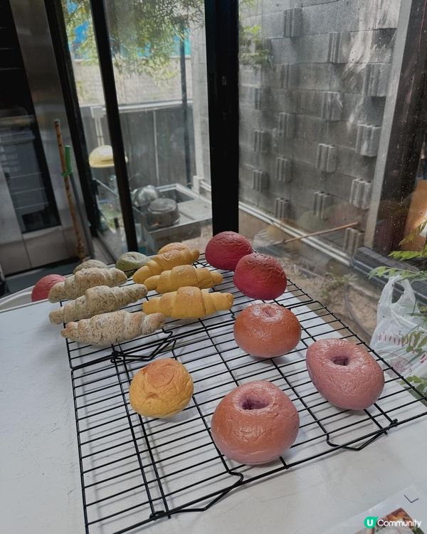 曼谷超美森林木糸打卡Cafe