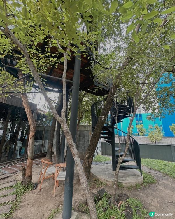 曼谷超美森林木糸打卡Cafe