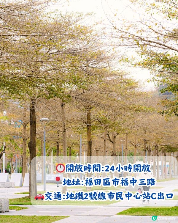 深圳5大賞花大道📸逾3公里！一片金黃色花海😍附地址+交通教學‼️