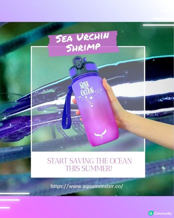 Aqua Monster x U Lifestyle獨家優惠