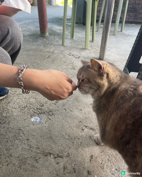 一年一度西貢海藝術 鹽田梓食茶果