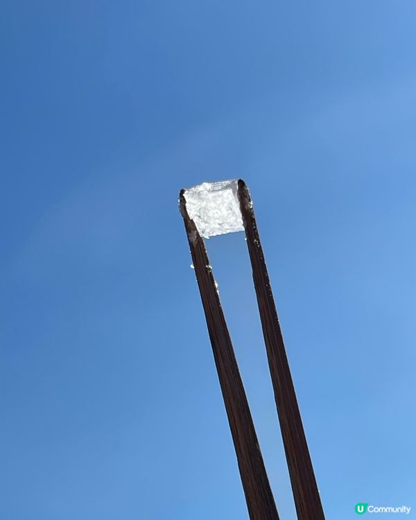 一年一度西貢海藝術 鹽田梓食茶果