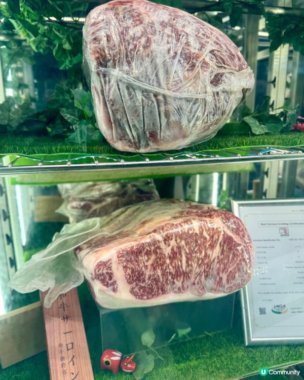 日本A5霜降黑毛和牛 壽喜燒放題 🇯🇵🐮