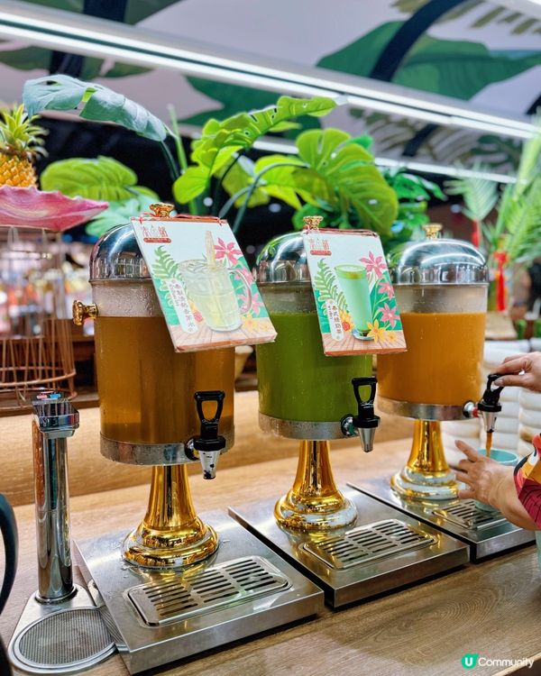 旺角泰式火鍋放題🔥 泰金鍋任食之旅！