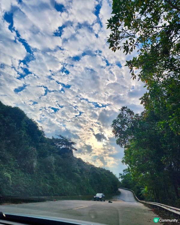 ✨✨浮山嶺睇大風車✨✨