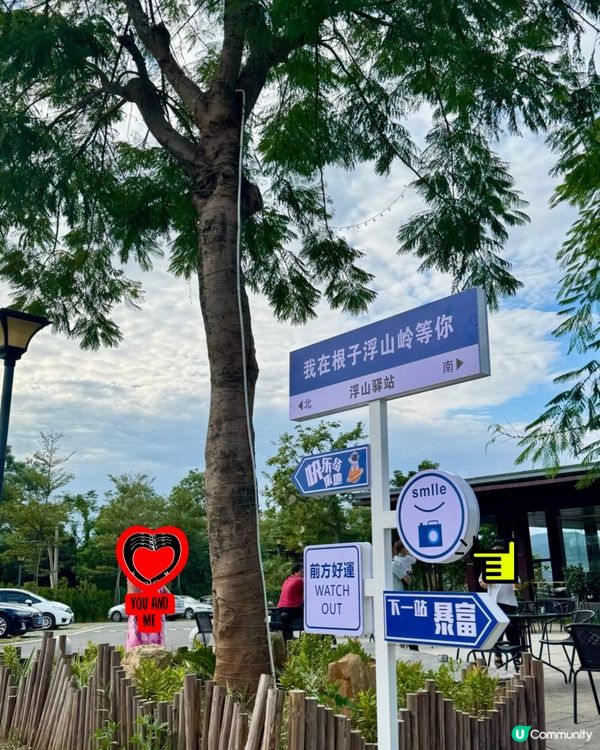 ✨✨浮山嶺睇大風車✨✨