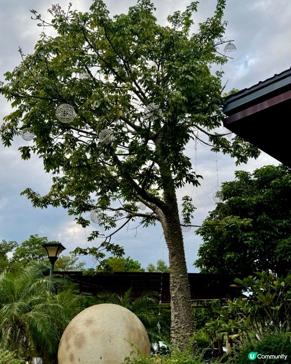 ✨✨浮山嶺睇大風車✨✨