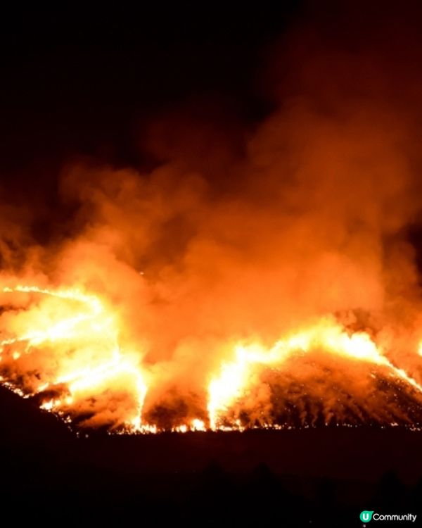 2025年1月🇯🇵奈良盛大祭典🌸若草山 燒山祭+煙火大會🎉