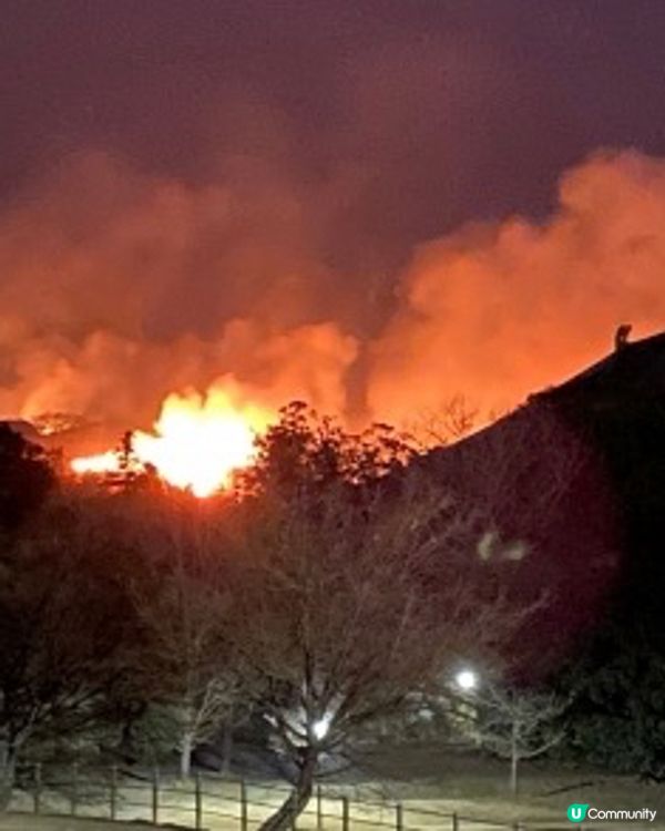 2025年1月🇯🇵奈良盛大祭典🌸若草山 燒山祭+煙火大會🎉