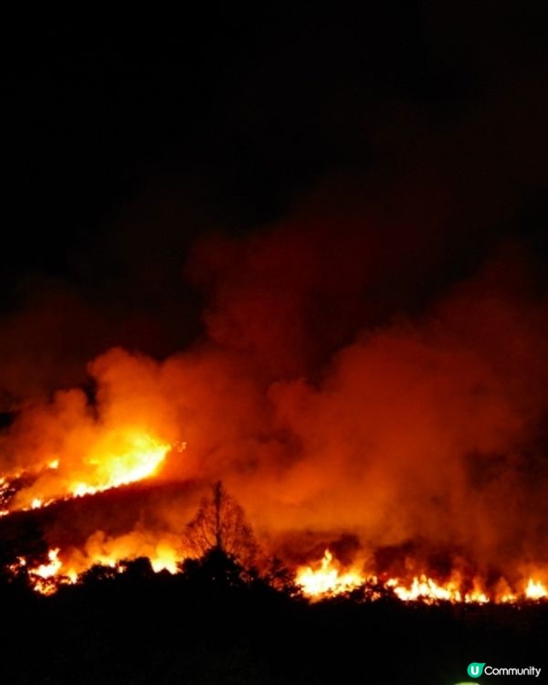 2025年1月🇯🇵奈良盛大祭典🌸若草山 燒山祭+煙火大會🎉