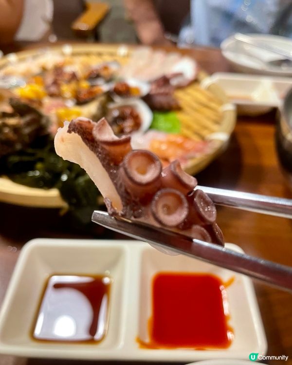 🇰🇷濟洲海鮮大餐 食到痛風系列🤣