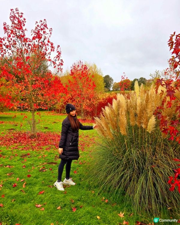 英國肯特郡獨特景點！🍂等你嚟玩！
