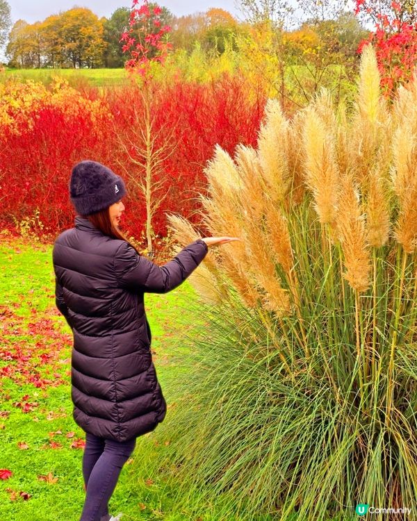 英國肯特郡獨特景點！🍂等你嚟玩！