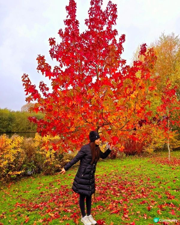 英國肯特郡獨特景點！🍂等你嚟玩！