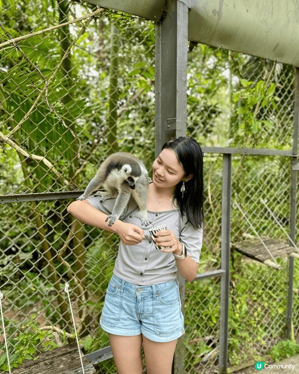 想同大家介紹最近最熱門?旅遊地方越南富國島，入邊有一個景點動...