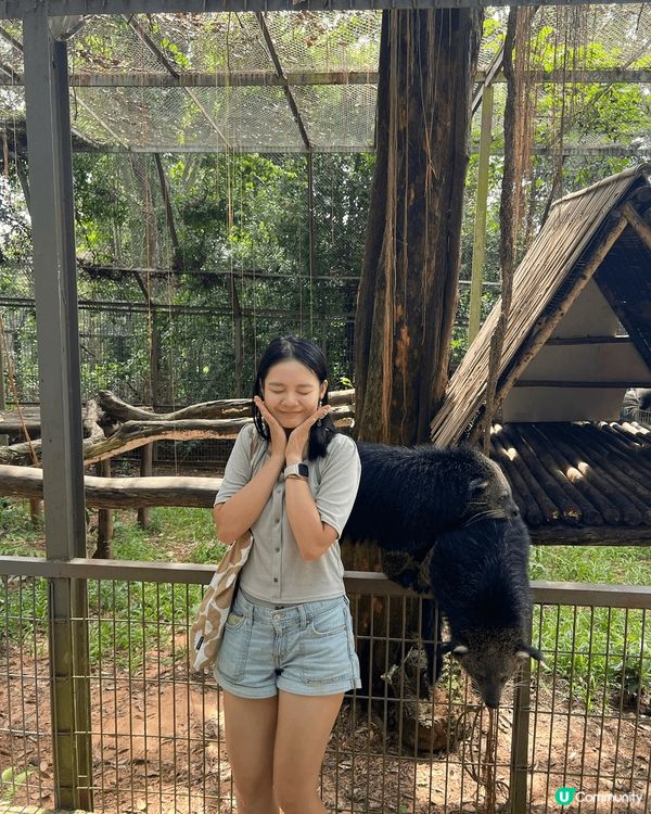 想同大家介紹最近最熱門?旅遊地方越南富國島，入邊有一個景點動...
