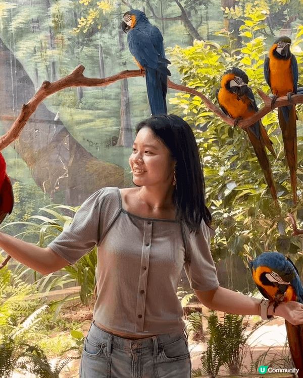 想同大家介紹最近最熱門?旅遊地方越南富國島，入邊有一個景點動...