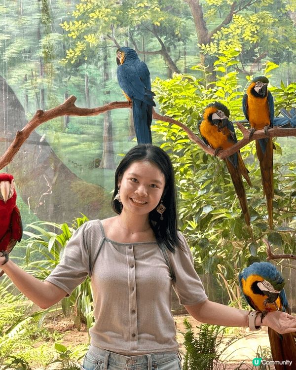 想同大家介紹最近最熱門?旅遊地方越南富國島，入邊有一個景點動...