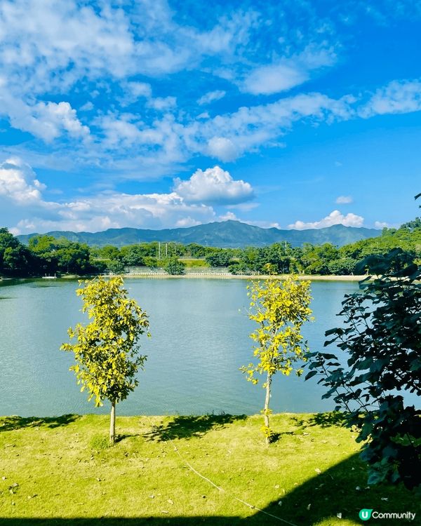 位於大埔?bilow餐廳，邊chill住食野，chill住睇...